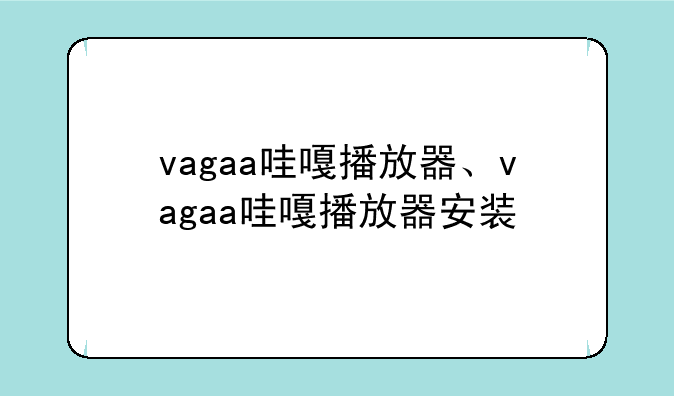 vagaa哇嘎播放器、vagaa哇嘎播放器安装