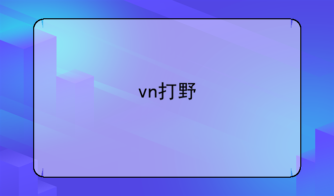 vn打野