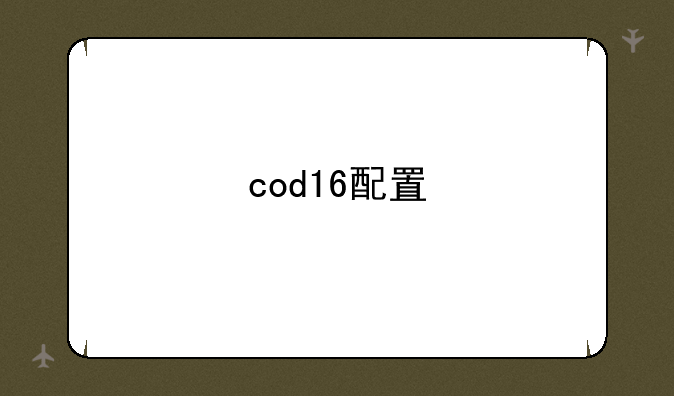 cod16配置