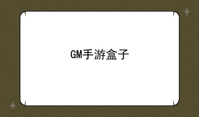 GM手游盒子