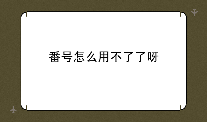番号怎么用不了了呀