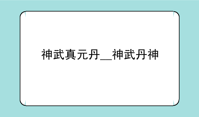 神武真元丹__神武丹神