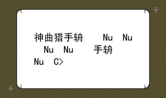 神曲猎手辅助—神曲手游