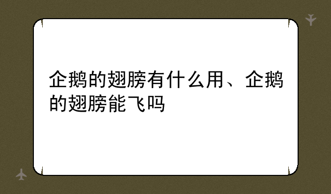 企鹅的翅膀有什么用、企鹅的翅膀能飞吗