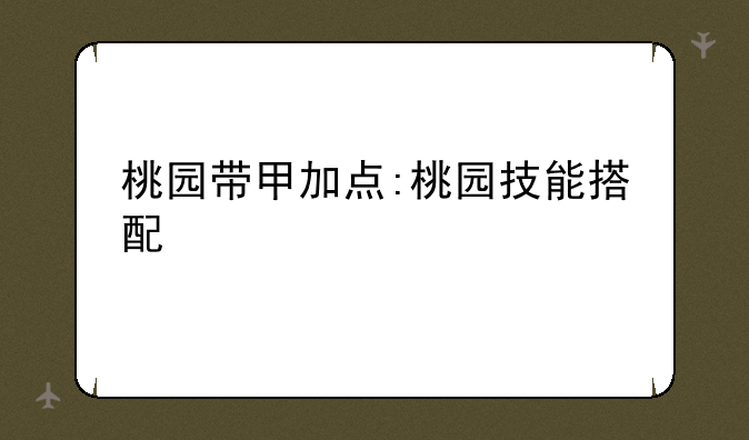 桃园带甲加点:桃园技能搭配