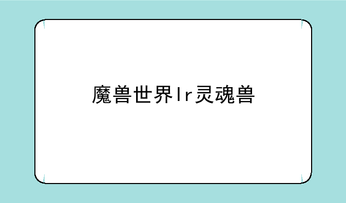 魔兽世界lr灵魂兽