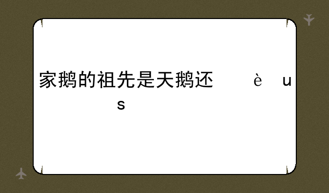 家鹅的祖先是天鹅还是野雁