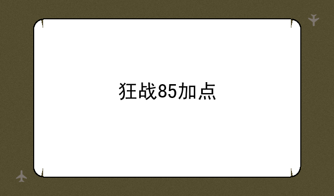 狂战85加点