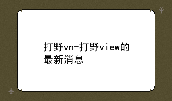 打野vn-打野view的最新消息
